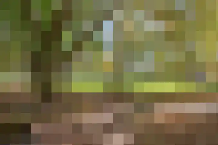 Mgr Bekkerslaan 139 Rijswijk thumbnail 31
