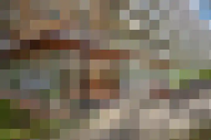 Mgr Bekkerslaan 139 Rijswijk thumbnail 5