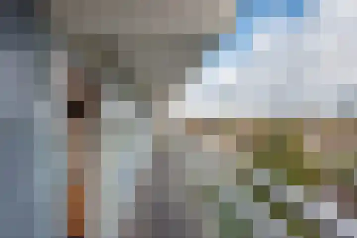 Mgr Bekkerslaan 139 Rijswijk thumbnail 7