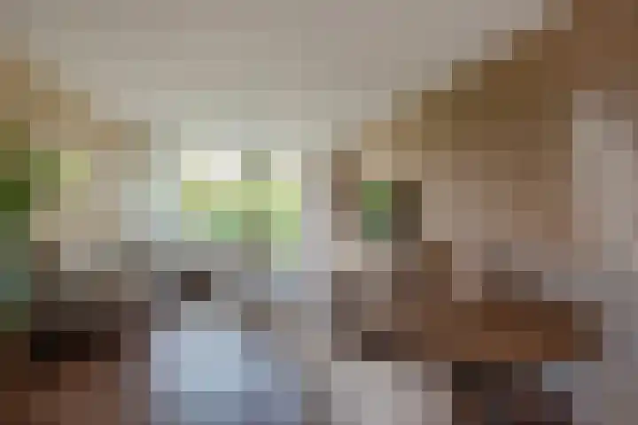 Mgr Bekkerslaan 201 Rijswijk thumbnail 15