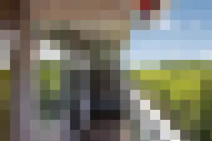 Mgr Bekkerslaan 201 Rijswijk thumbnail 17