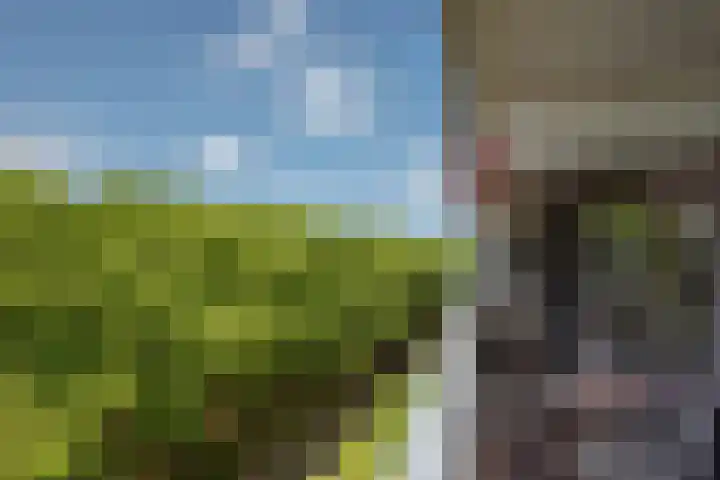 Mgr Bekkerslaan 201 Rijswijk thumbnail 18