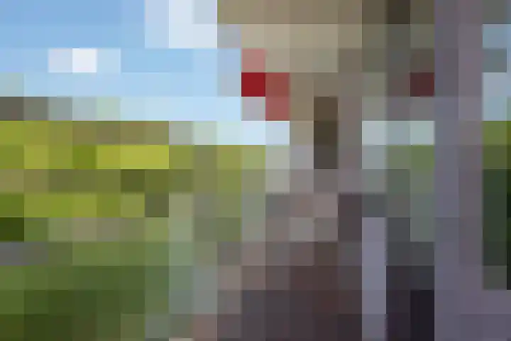Mgr Bekkerslaan 201 Rijswijk thumbnail 19