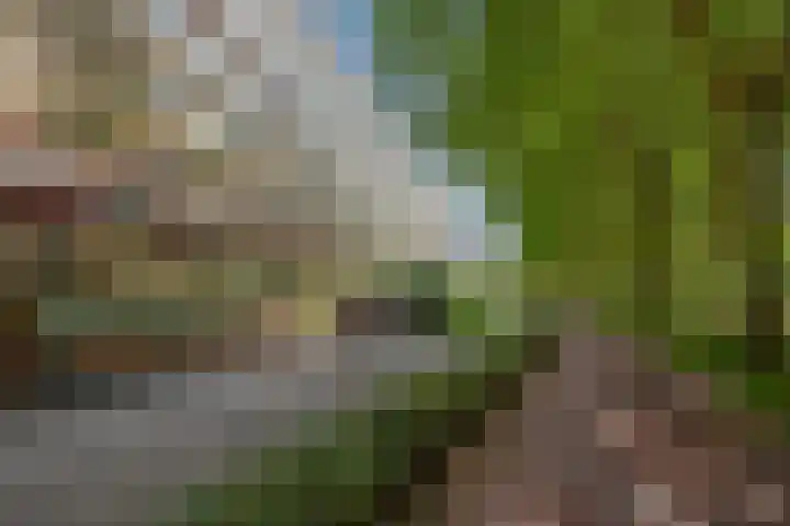 Mgr Bekkerslaan 201 Rijswijk thumbnail 34