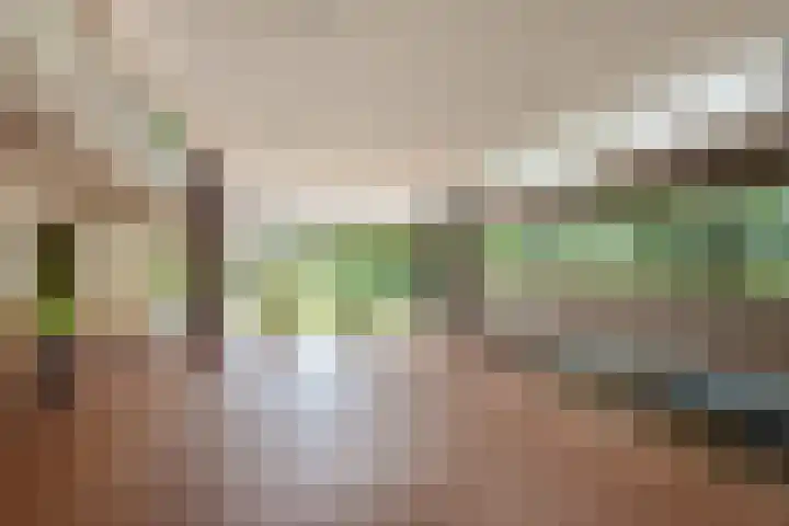 Mgr Bekkerslaan 201 Rijswijk thumbnail 6