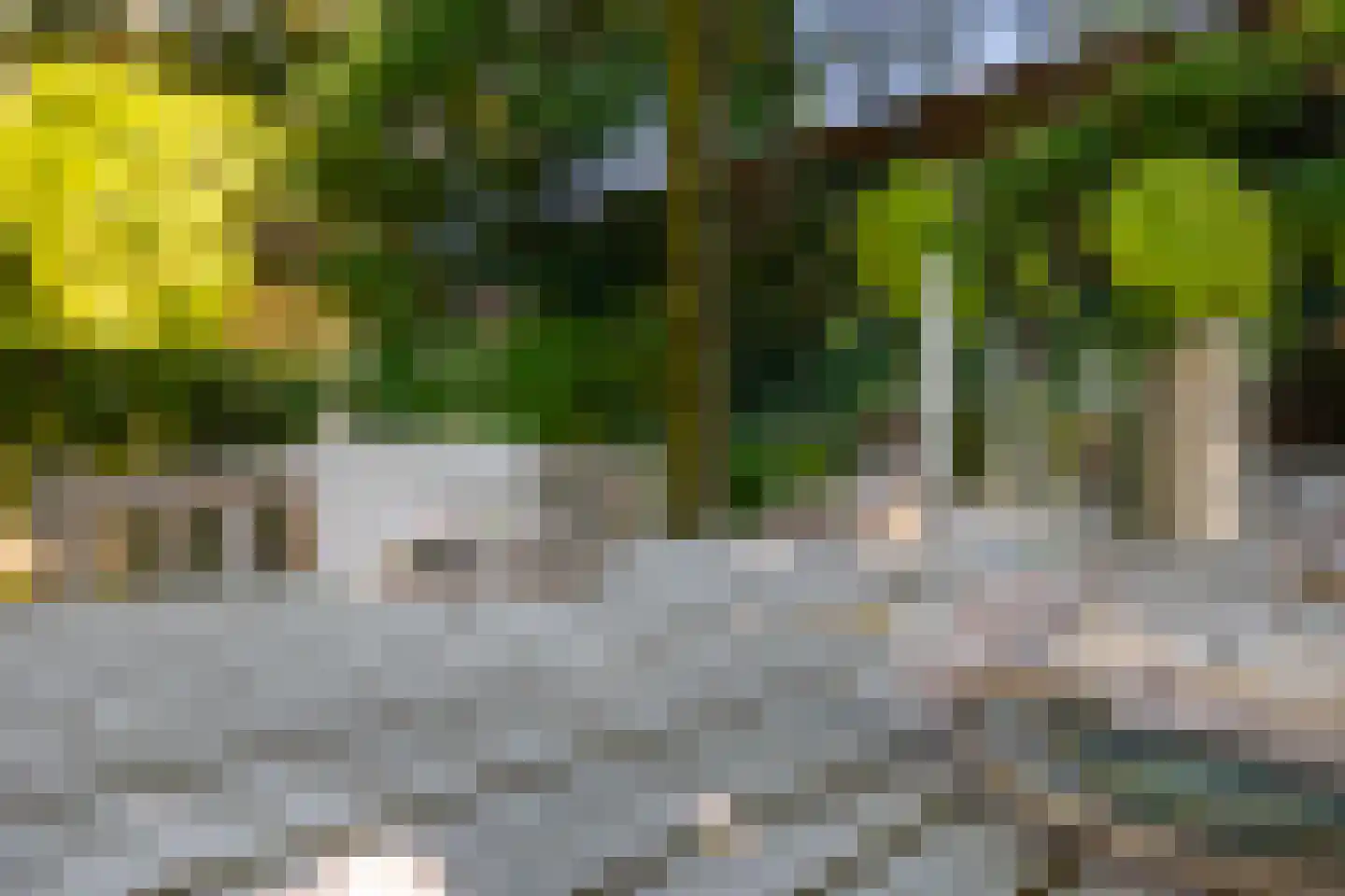 Mgr. Bekkersplein 6 Schijndel thumbnail 44
