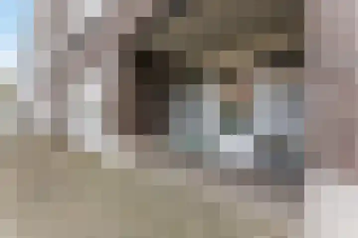 Mgr.Bekkersstraat 111 Boxtel thumbnail 4