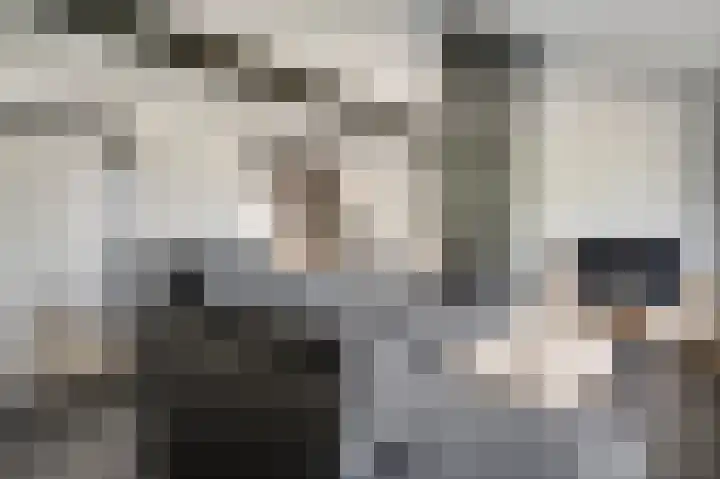Mgr. Bekkersstraat 25 Budel thumbnail 5