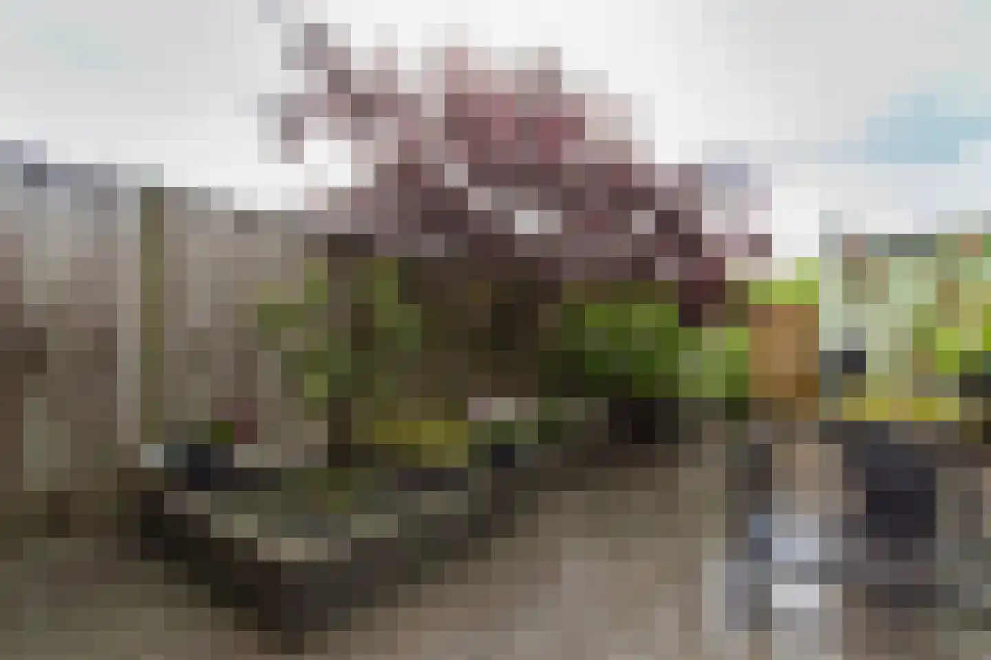 Mgr. Bekkersstraat 50 Waalwijk thumbnail 16