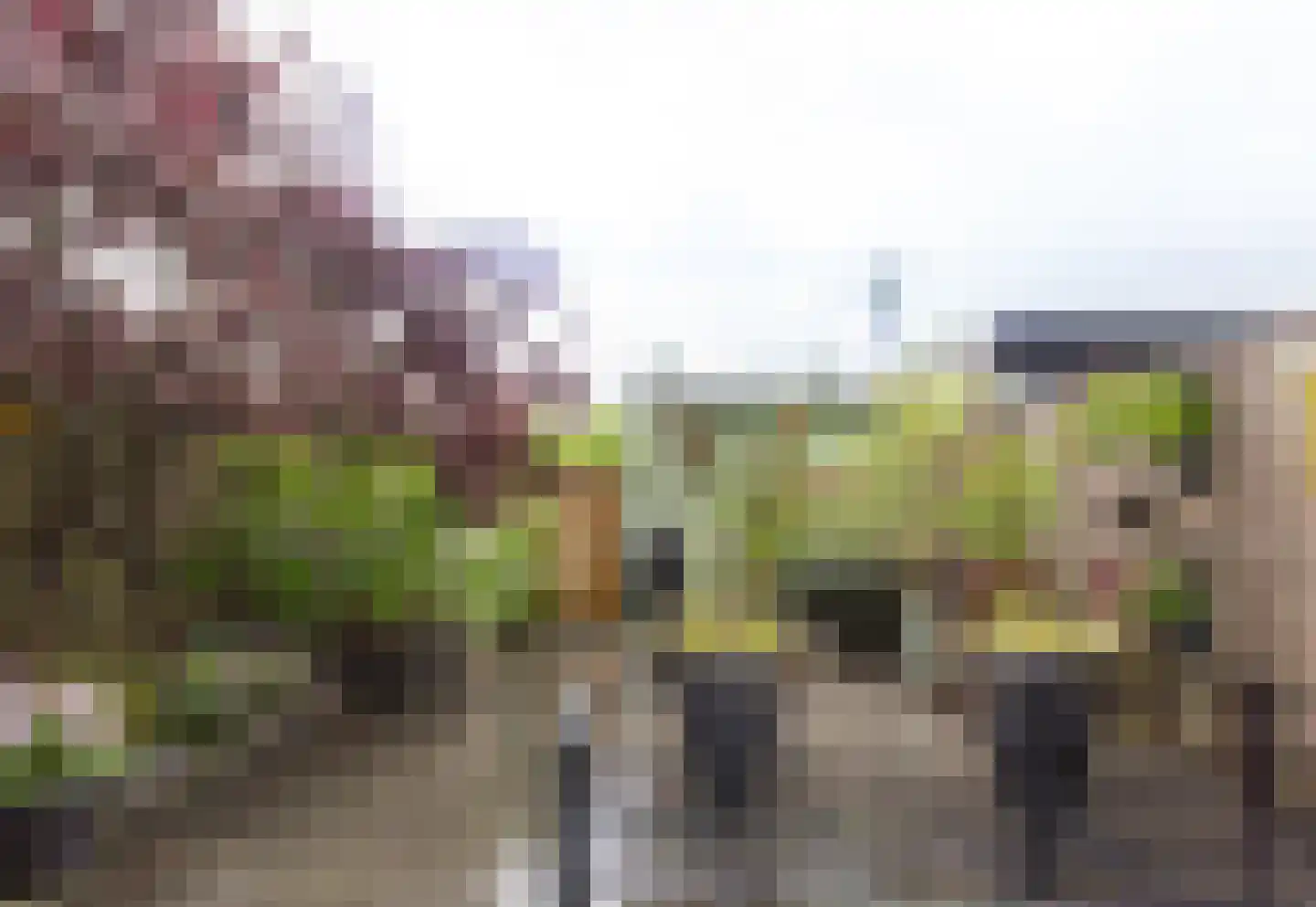 Mgr. Bekkersstraat 50 Waalwijk thumbnail 18