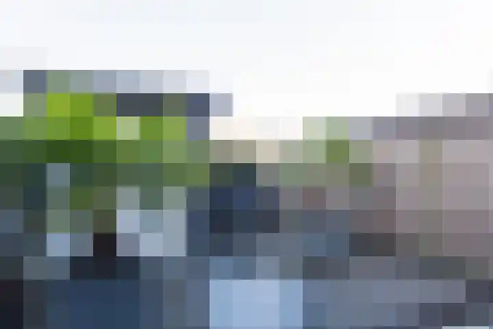 Mgr. Bekkersstraat 60 Waalwijk thumbnail 6