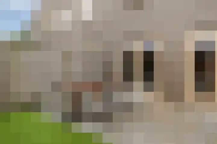 Mgr. Bekkersstraat 62 Waalwijk thumbnail 4