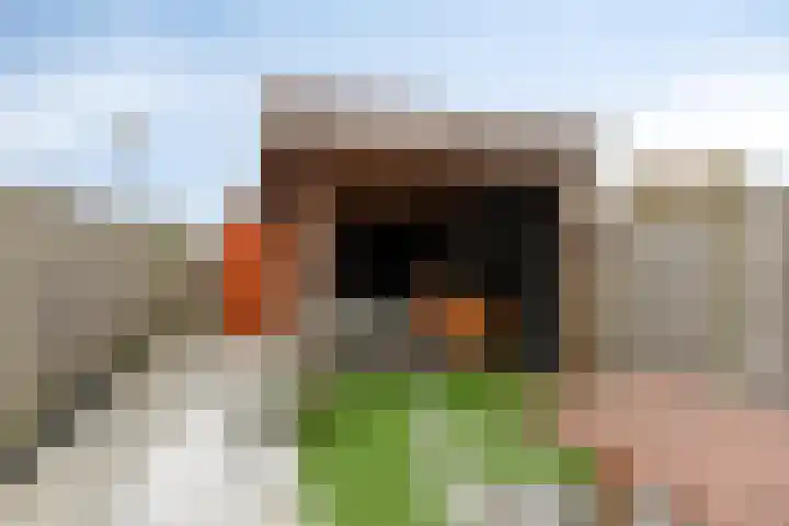 Mgr. Bekkersstraat 62 Waalwijk thumbnail 5