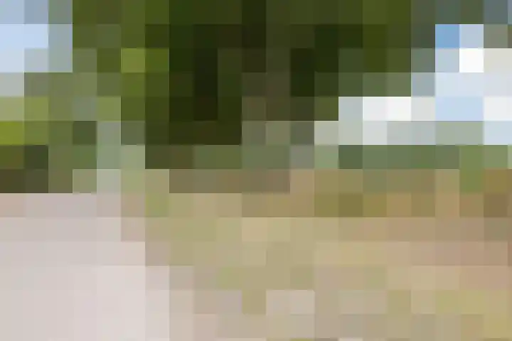 Mgr.Borretweg 15 d Grave thumbnail 17