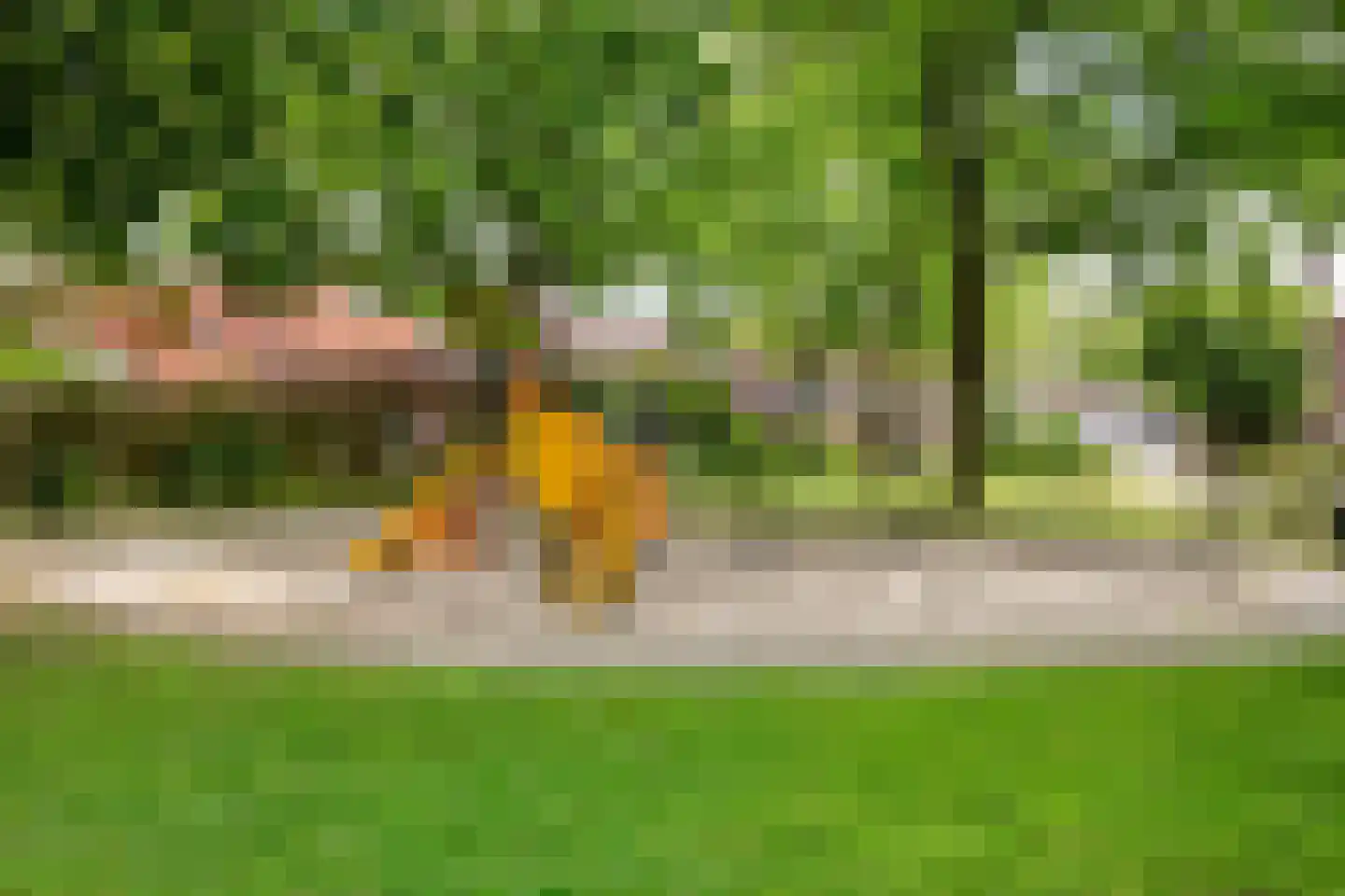 Mgr. Bosstraat 2 Uden thumbnail 32