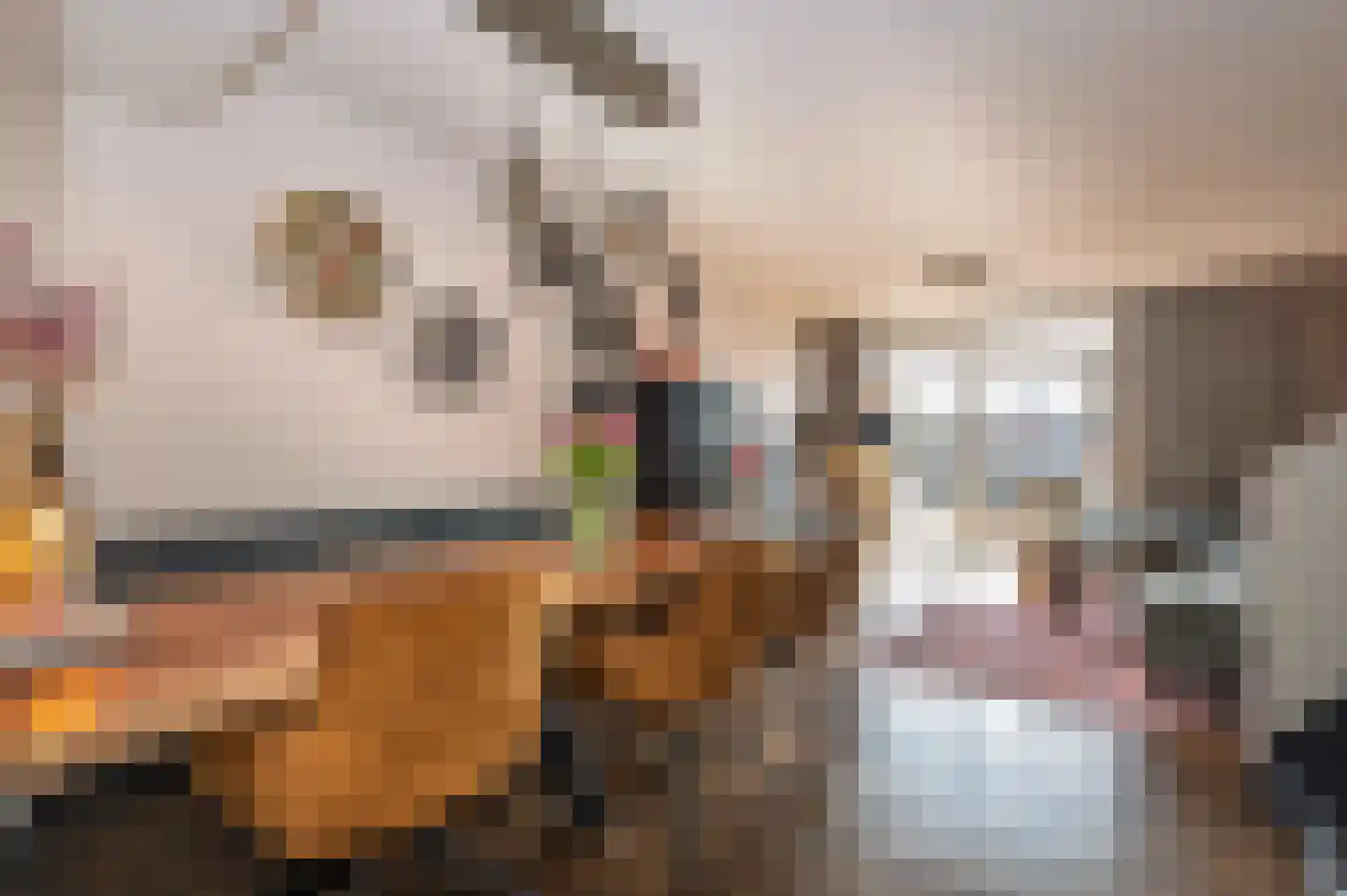 Mgr. Bosstraat 41 Uden thumbnail 34
