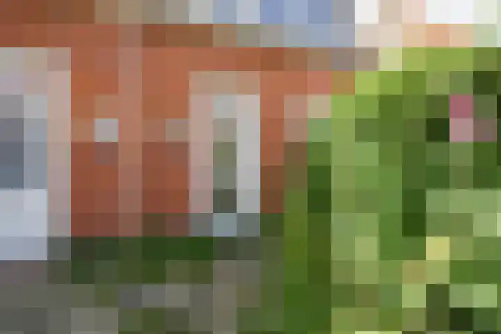 Mgr. Broerestraat 2 a Voorhout thumbnail 10
