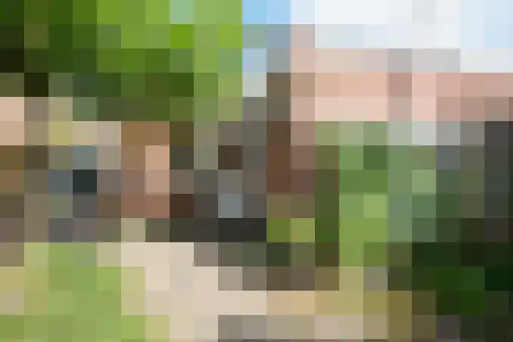Mgr. Broerestraat 2 a Voorhout thumbnail 47