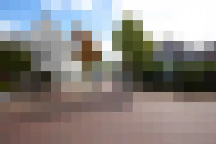 Mgr. Broerestraat 2 a Voorhout thumbnail 53