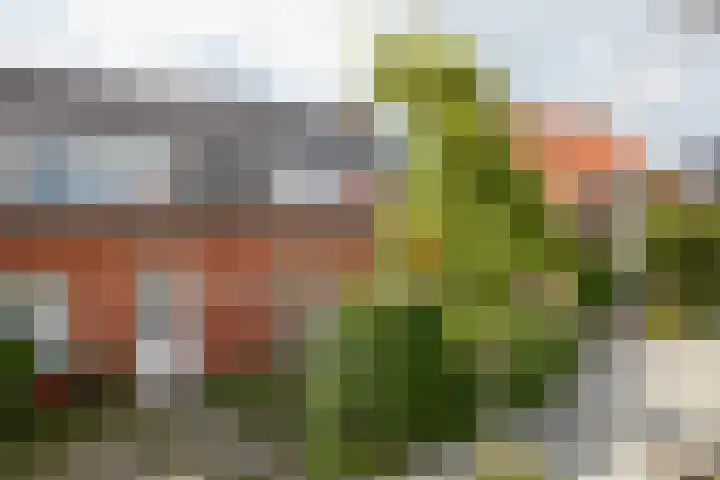 Mgr. Broerestraat 2 a Voorhout thumbnail 7