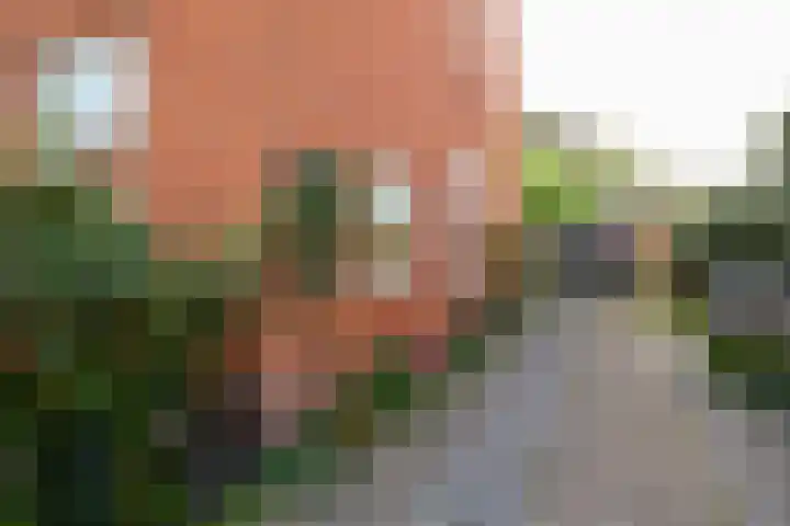 Mgr. Broerestraat 2 a Voorhout thumbnail 8