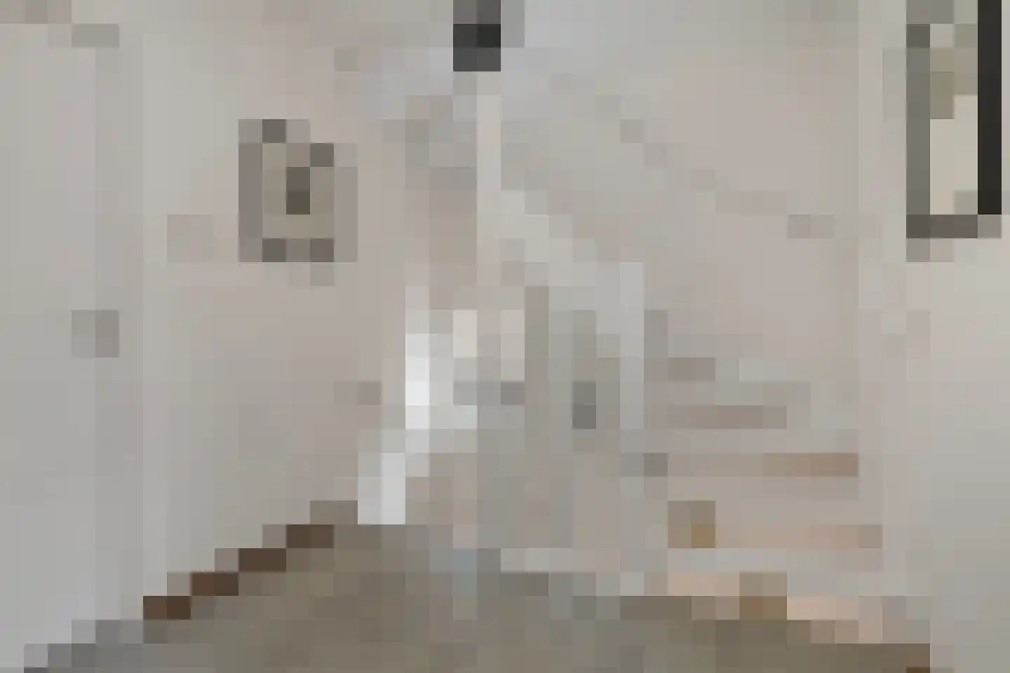 Mgr. Buckxstraat 7 Born thumbnail 27