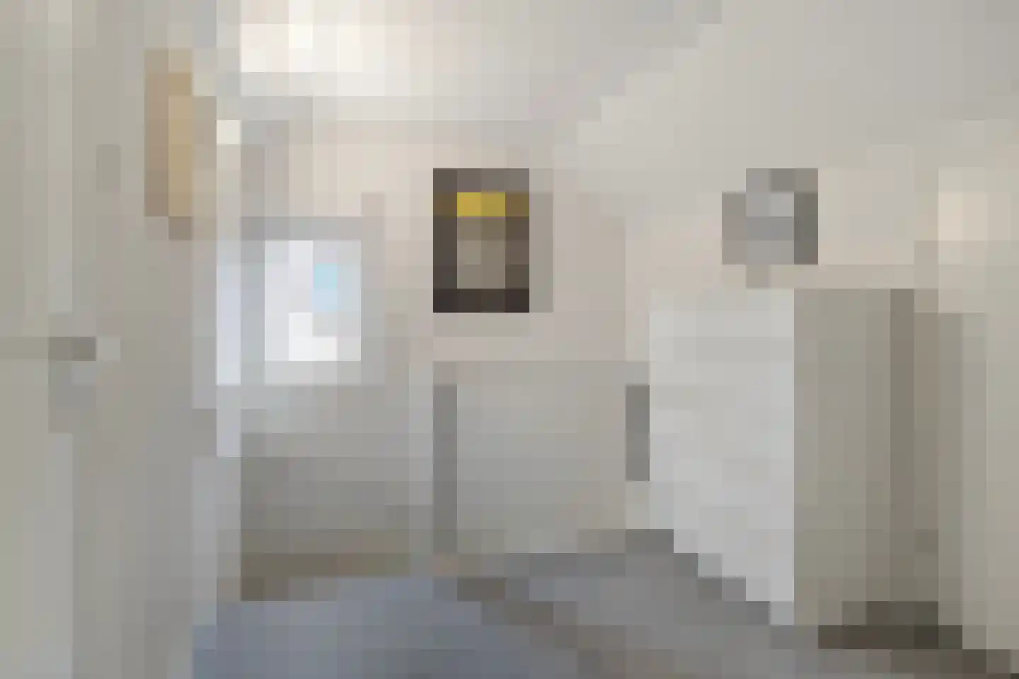 Mgr. Buckxstraat 7 Born thumbnail 30