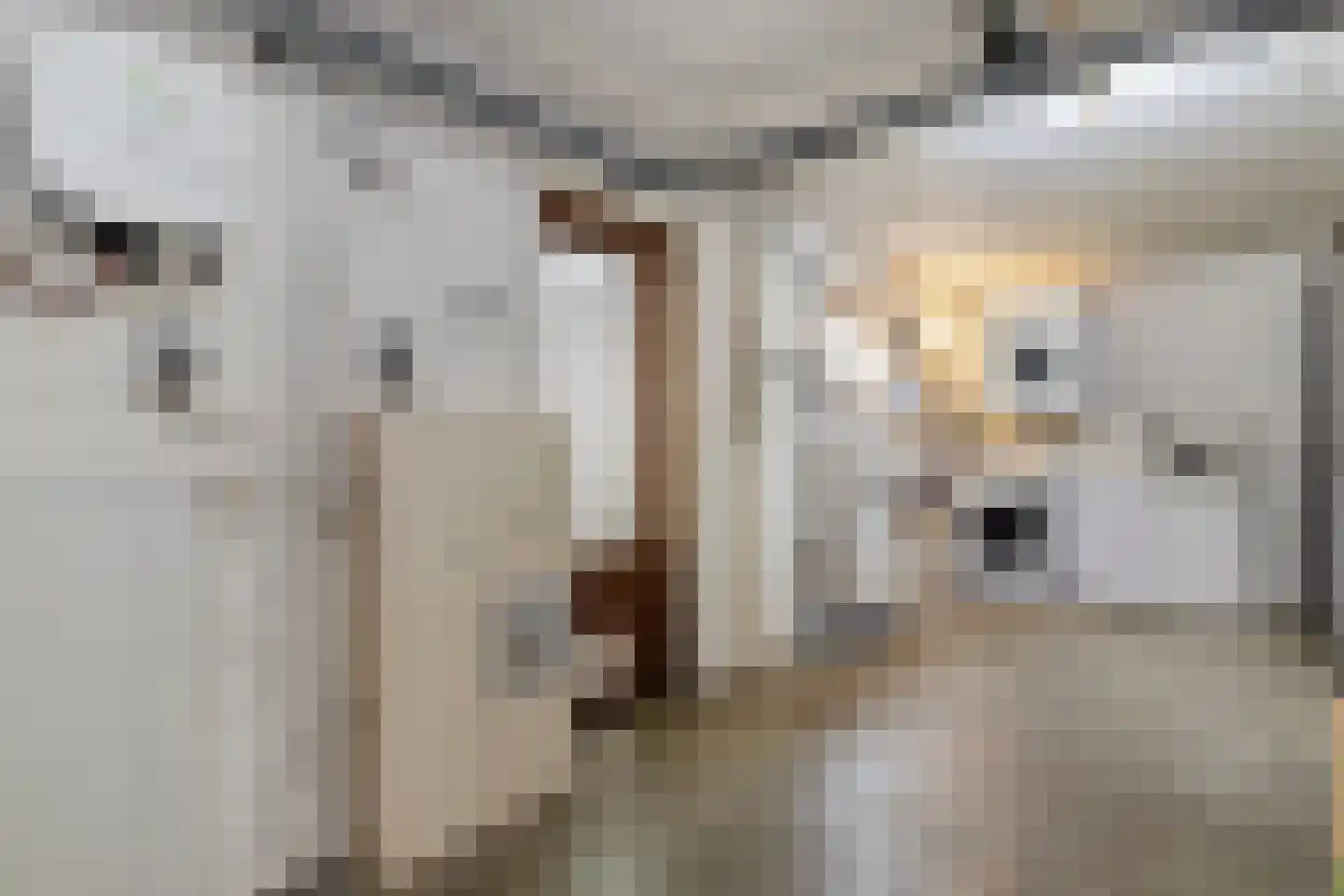 Mgr. Buckxstraat 7 Born thumbnail 31