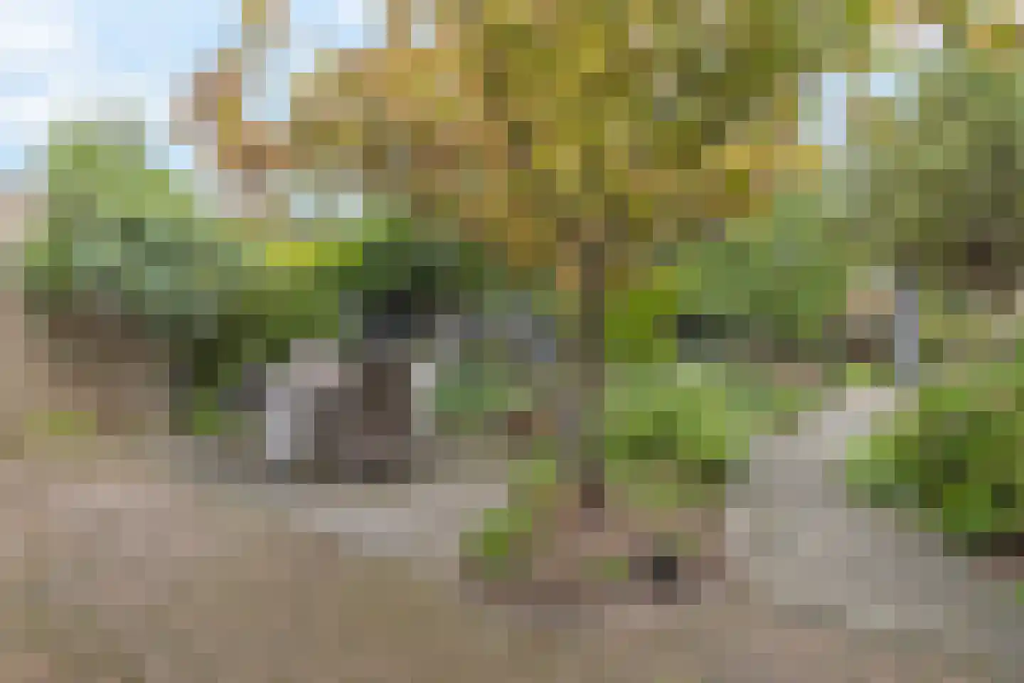 Mgr. Buckxstraat 7 Born thumbnail 33