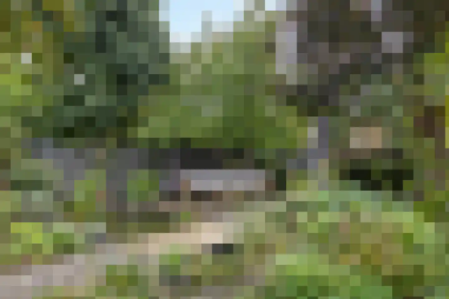 Mgr. Buckxstraat 7 Born thumbnail 38