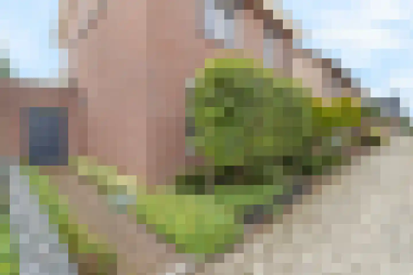 Mgr. Buckxstraat 7 Born thumbnail 4