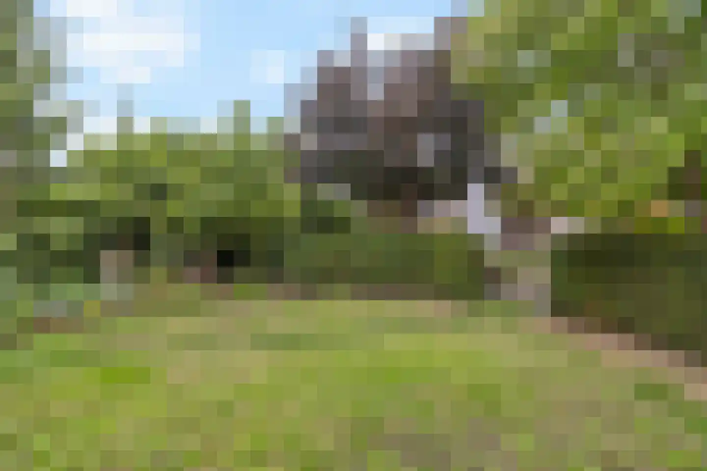 Mgr. Buckxstraat 7 Born thumbnail 41