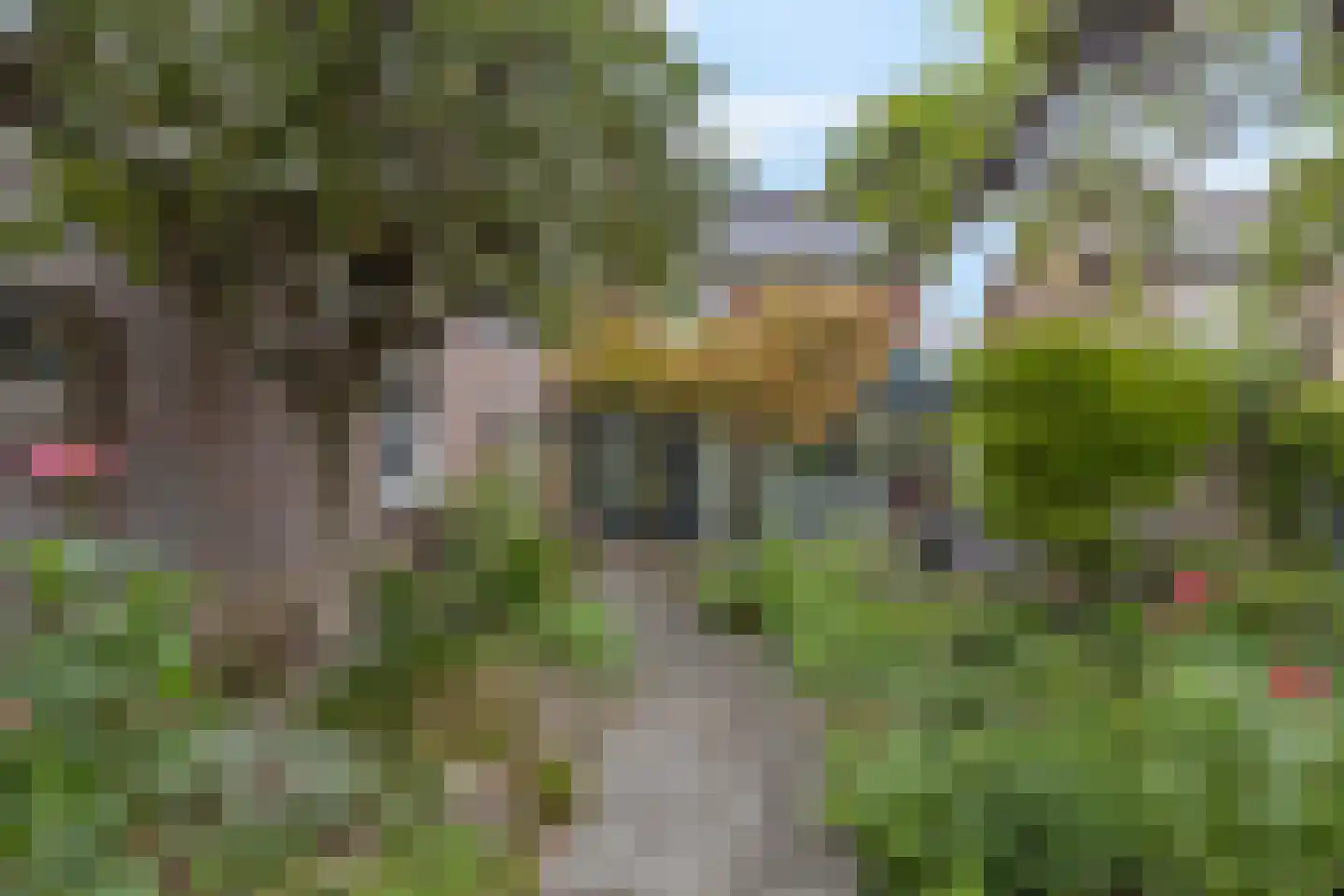 Mgr. Buckxstraat 7 Born thumbnail 43