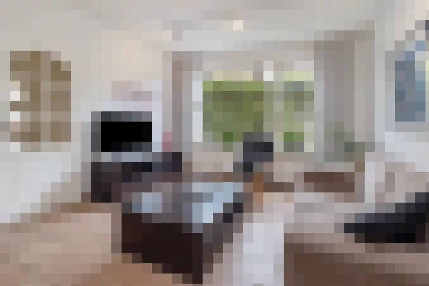 Mgr. Buckxstraat 7 Born thumbnail 7