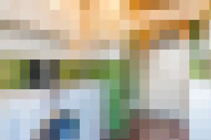 Mgr Cuytenlaan 34 Nuenen thumbnail 16