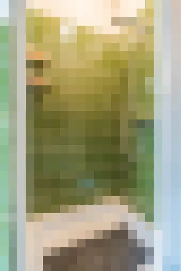 Mgr Cuytenlaan 34 Nuenen thumbnail 18
