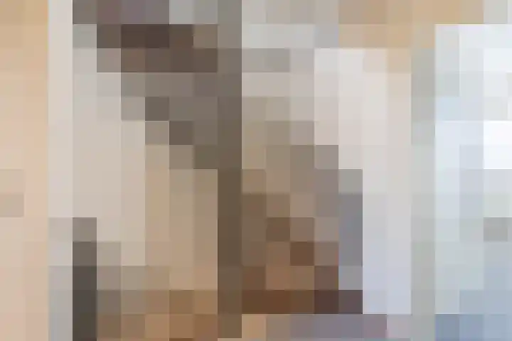 Mgr Cuytenlaan 34 Nuenen thumbnail 21