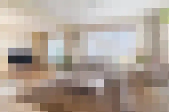 Mgr Cuytenlaan 34 Nuenen thumbnail 8
