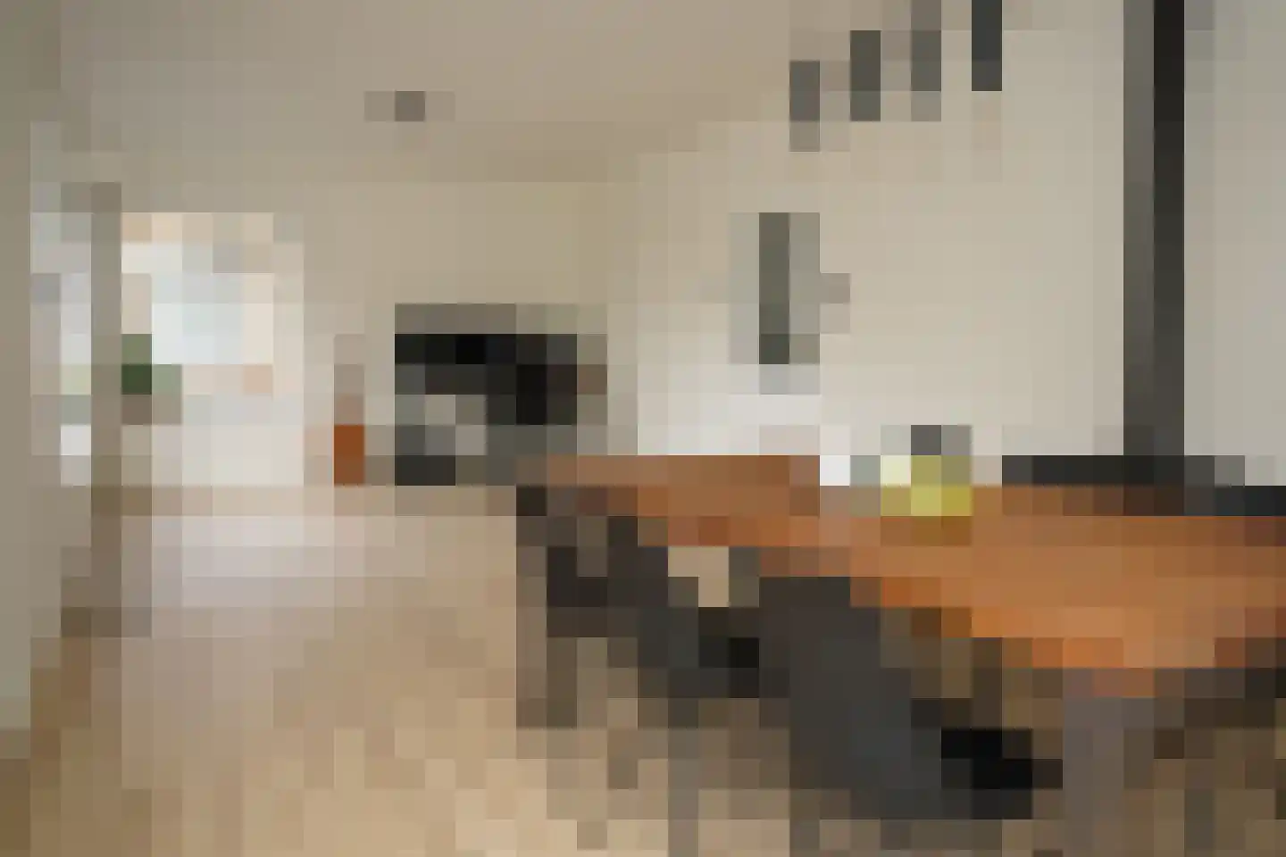Mgr. de Backerestraat 1 Eede thumbnail 10