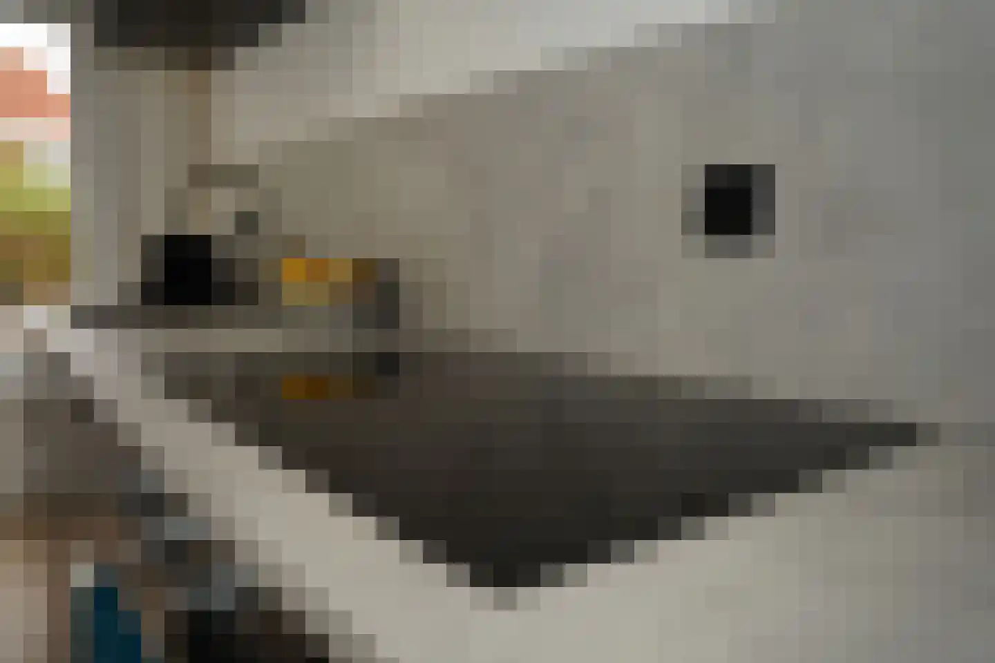Mgr. de Backerestraat 1 Eede thumbnail 13