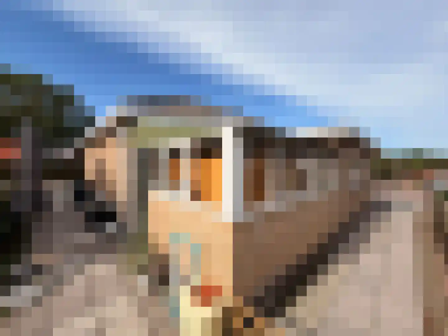 Mgr. de Backerestraat 1 Eede thumbnail 19