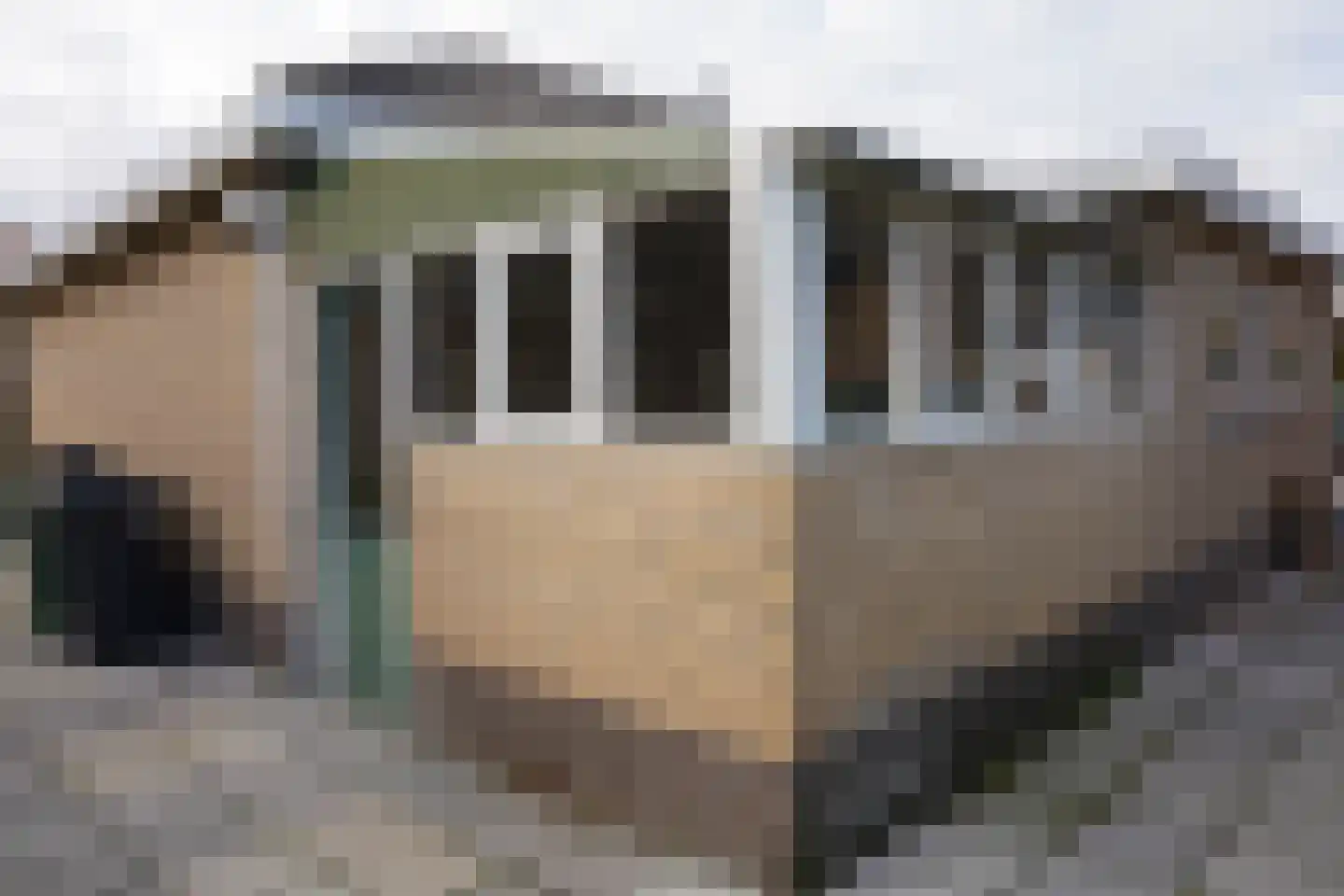 Mgr. de Backerestraat 1 Eede thumbnail 25