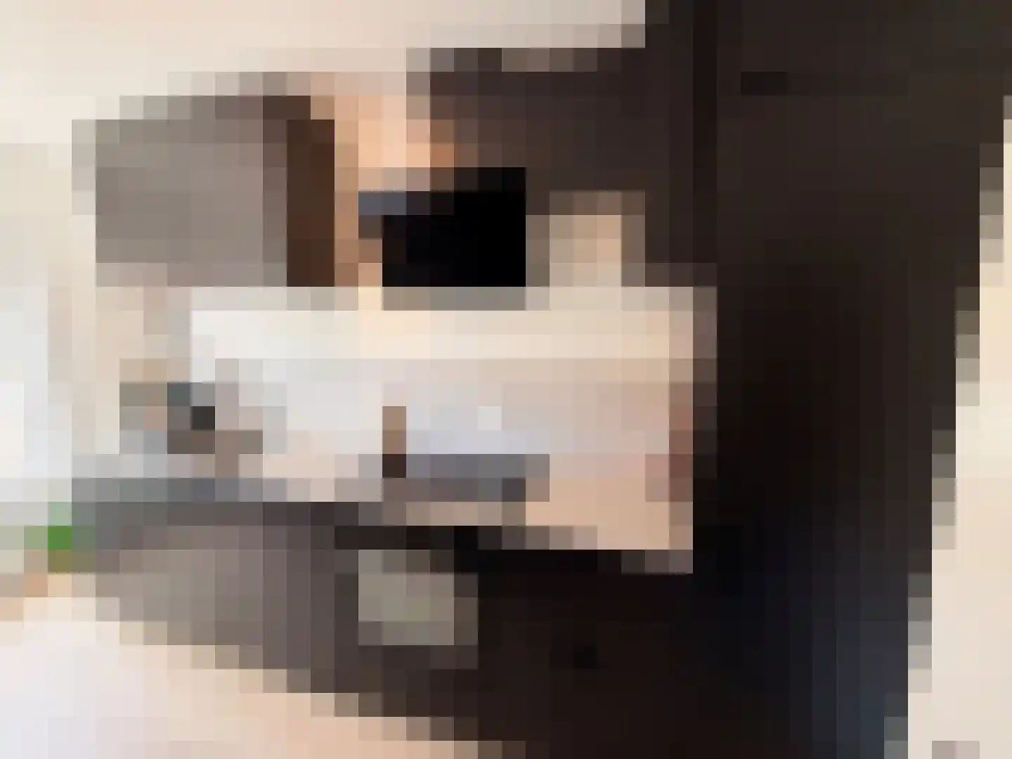 Mgr. de Backerestraat 1 Eede thumbnail 4