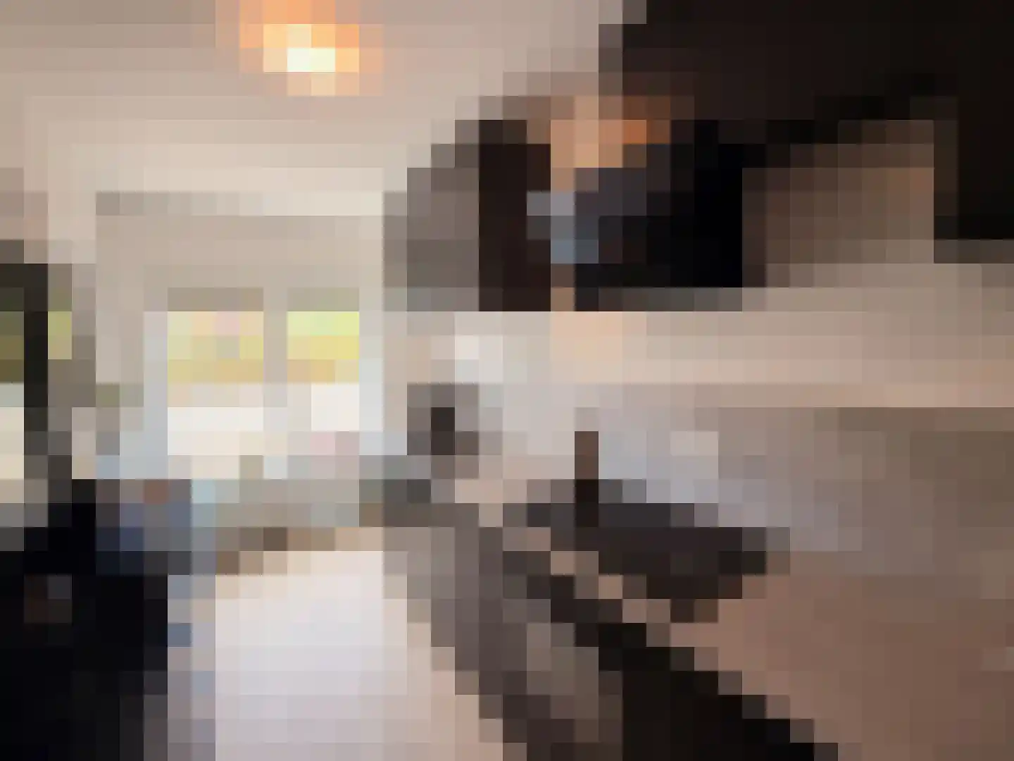 Mgr. de Backerestraat 1 Eede thumbnail 6