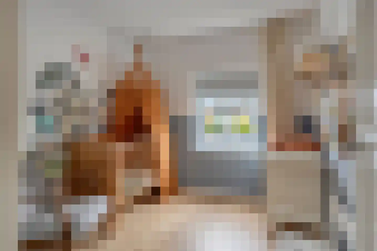 Mgr de Haasstraat 44 Eersel thumbnail 26