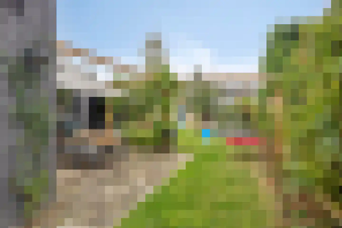 Mgr de Haasstraat 44 Eersel thumbnail 33
