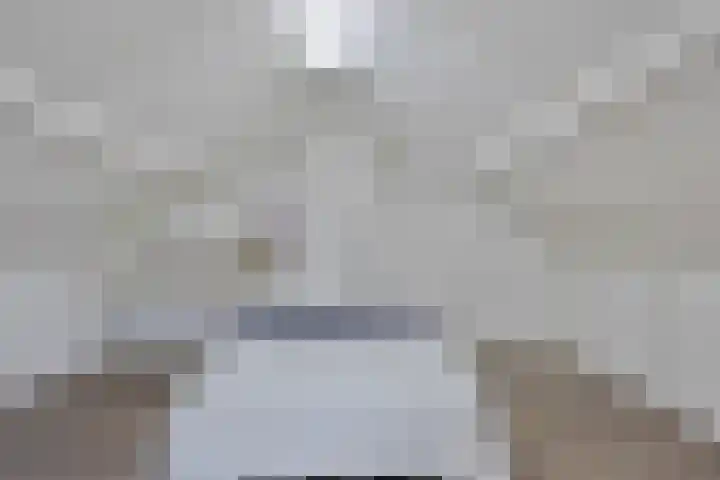 Mgr de Haasstraat 70 Eersel thumbnail 34