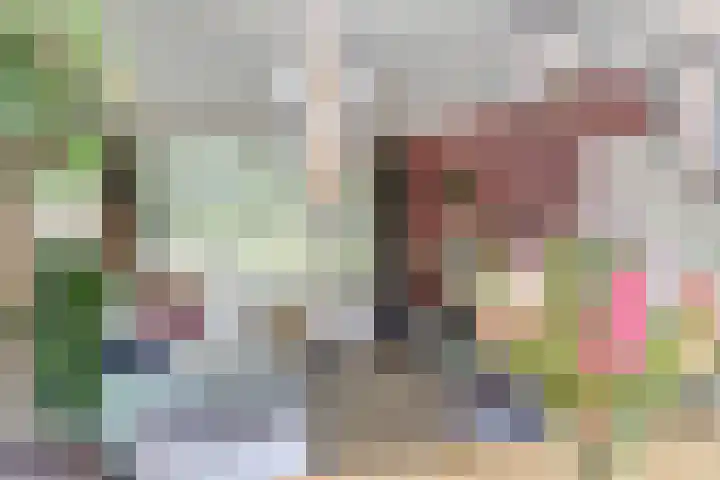 Mgr de Haasstraat 8 Eersel thumbnail 10