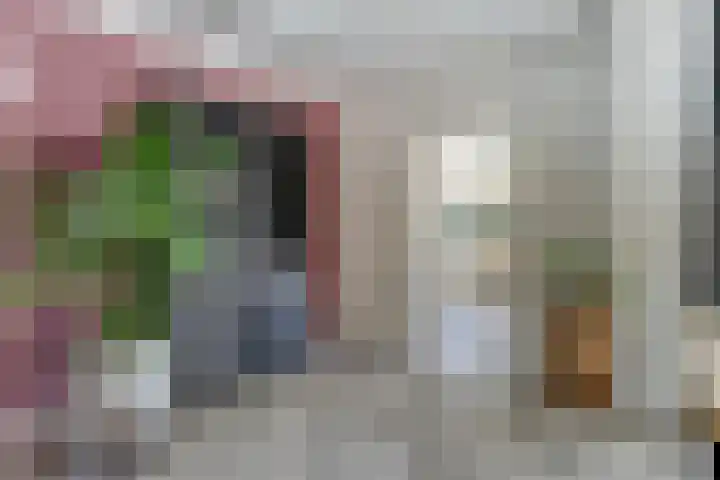 Mgr de Haasstraat 8 Eersel thumbnail 13