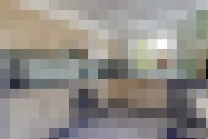 Mgr de Haasstraat 8 Eersel thumbnail 15
